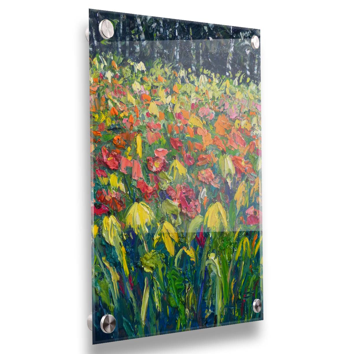 A painting of red, orange, and yellow flowers, including yellow cornflowers. The warm petal colors are contrasted by the vibrant green stems and the dark birch forest in the background. Printed on acrylic.