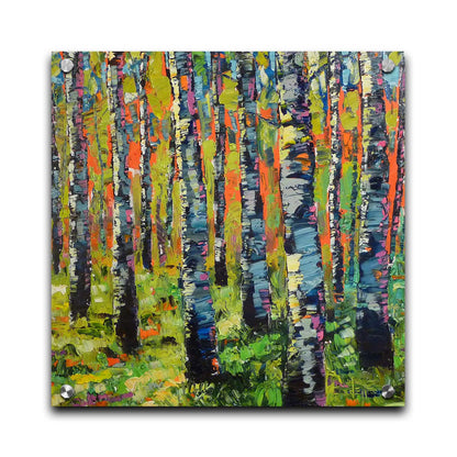 A painting of a forest of birch trunks, using visible brushstrokes and arbitrary colors in a contemporary style. Printed on acrylic.