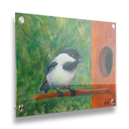 A painting of a black and white chickadee perched on an orange birdhouse, about to enter. The visible brushstrokes of the green background give the impression of foliage. Printed on acrylic.