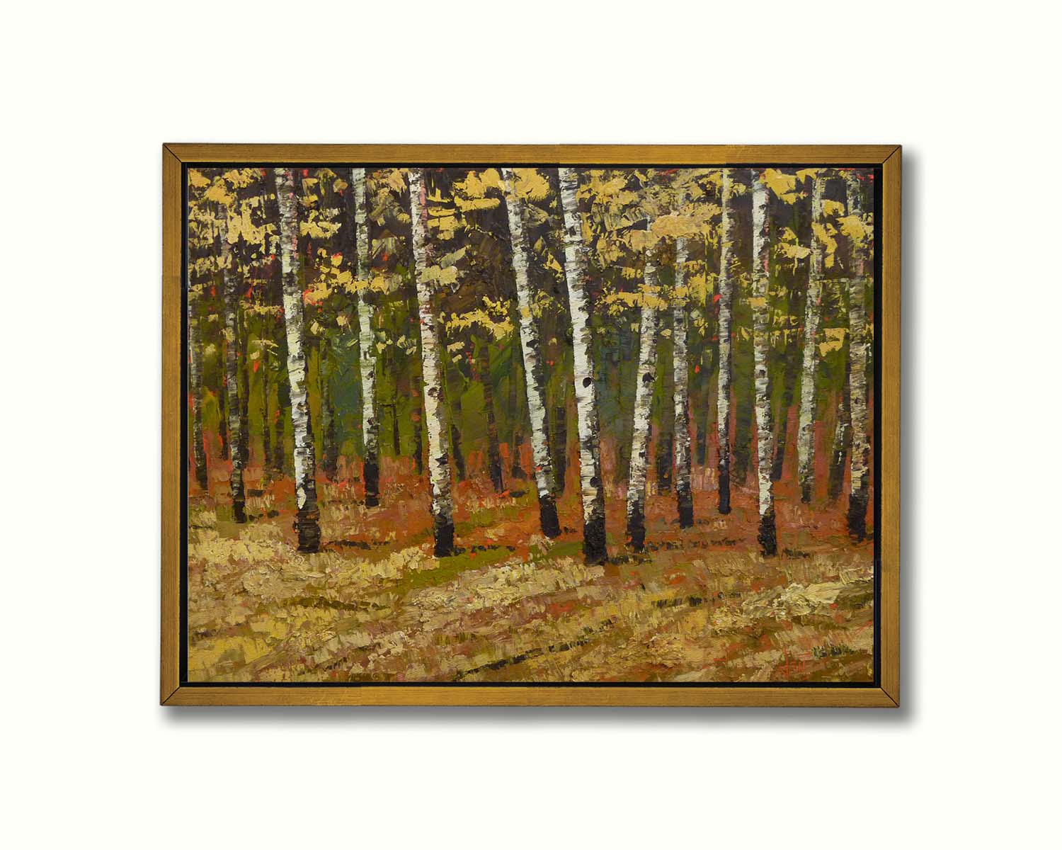 A painting of a birch forest in autumn, as the grass and leaves turn yellow. Printed on canvas in a float frame.