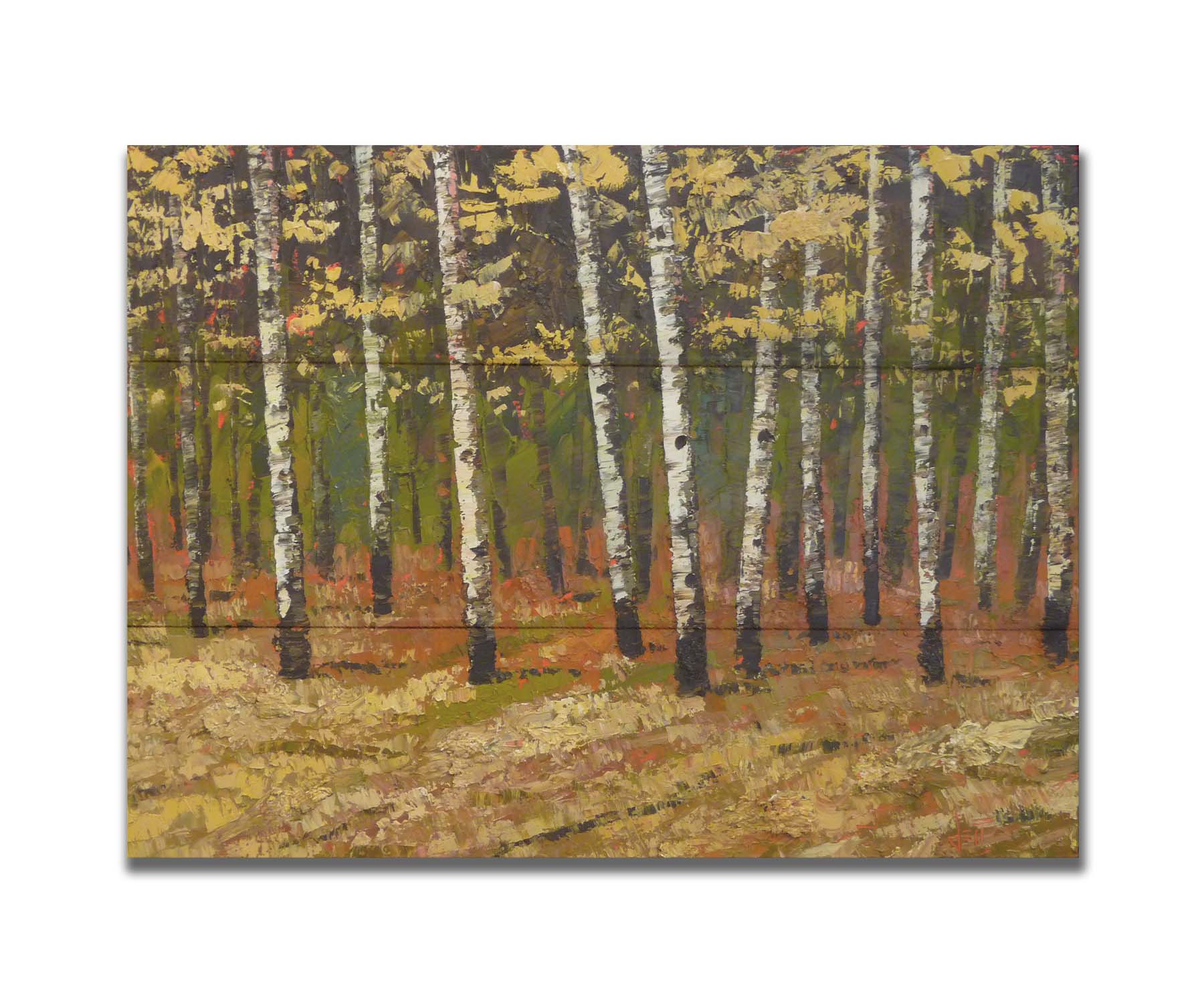 A painting of a birch forest in autumn, as the grass and leaves turn yellow. Printed on a box board.