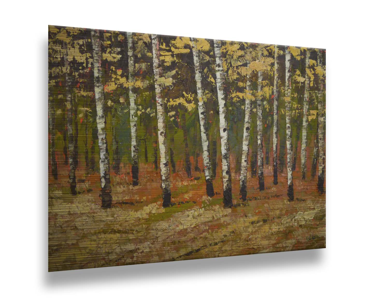 A painting of a birch forest in autumn, as the grass and leaves turn yellow. Printed on metal.