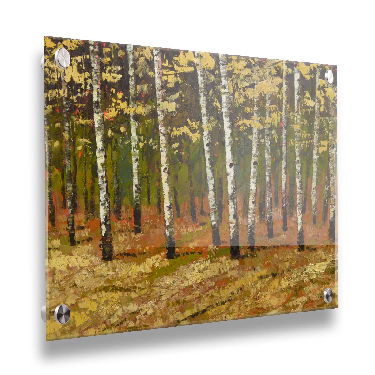 A painting of a birch forest in autumn, as the grass and leaves turn yellow. Printed on acrylic.