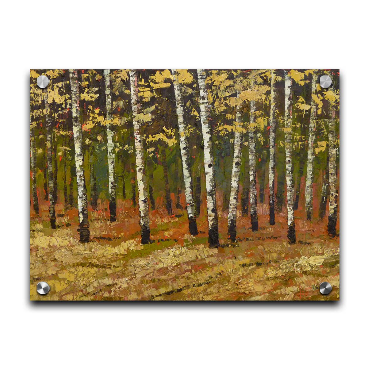 A painting of a birch forest in autumn, as the grass and leaves turn yellow. Printed on acrylic.