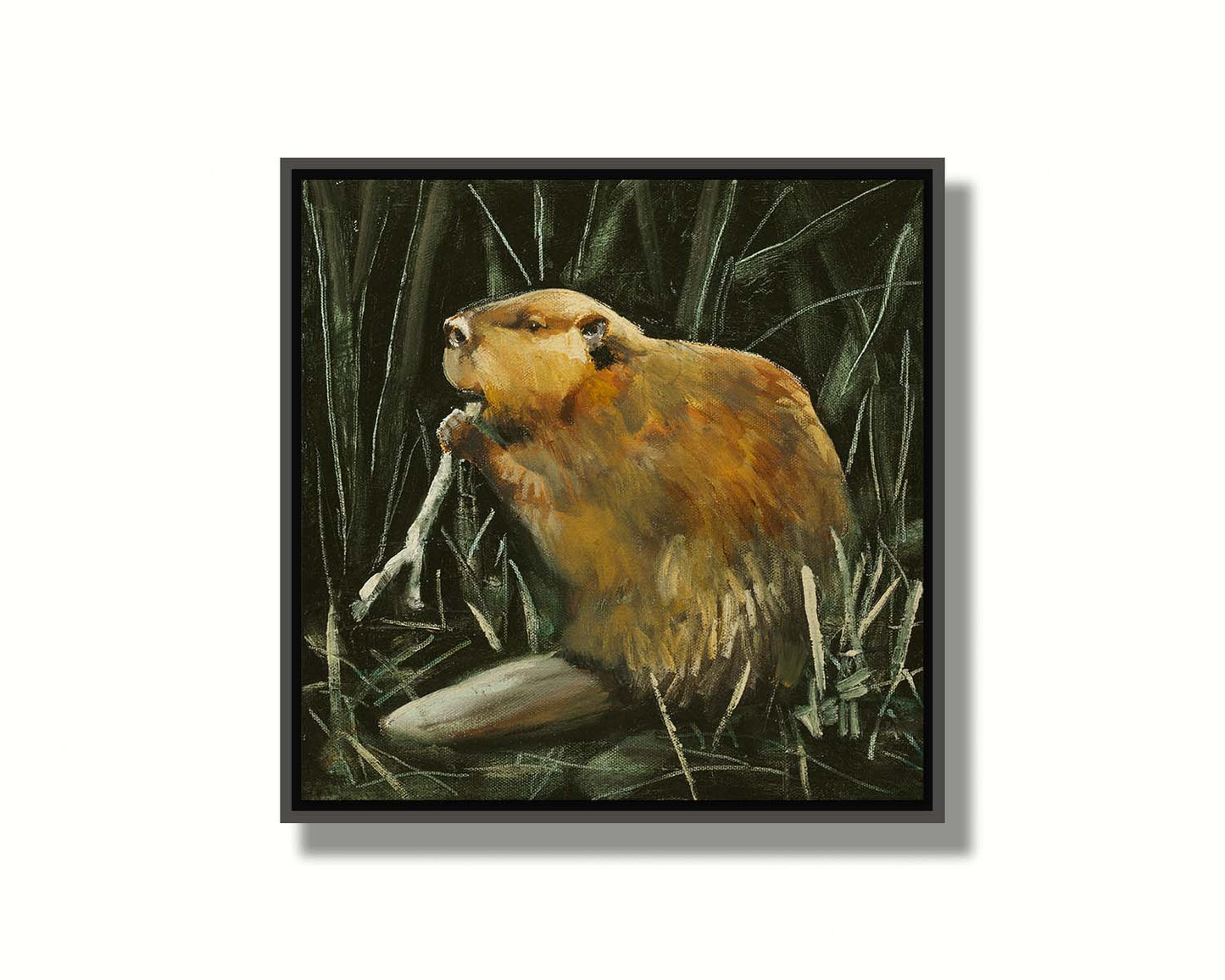 A portrait painting of a beaver chewing on a stick against a dark thicket. Printed on canvas in a float frame.