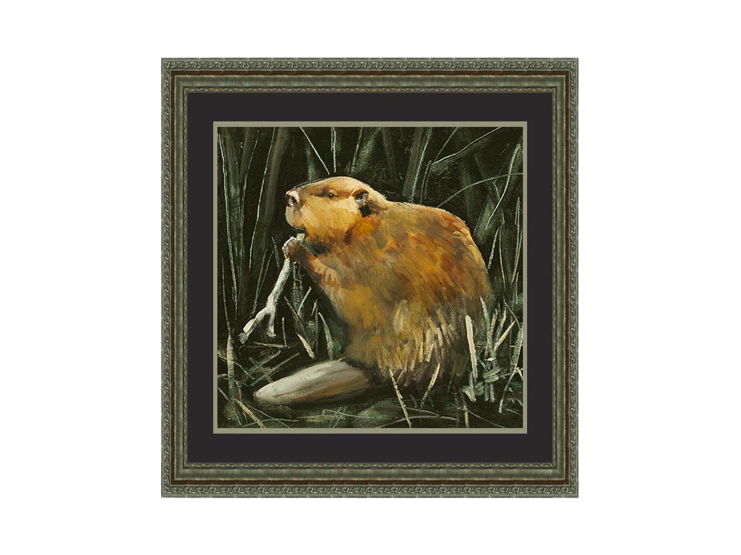 A portrait painting of a beaver chewing on a stick against a dark thicket. Printed on paper, matted, and framed.