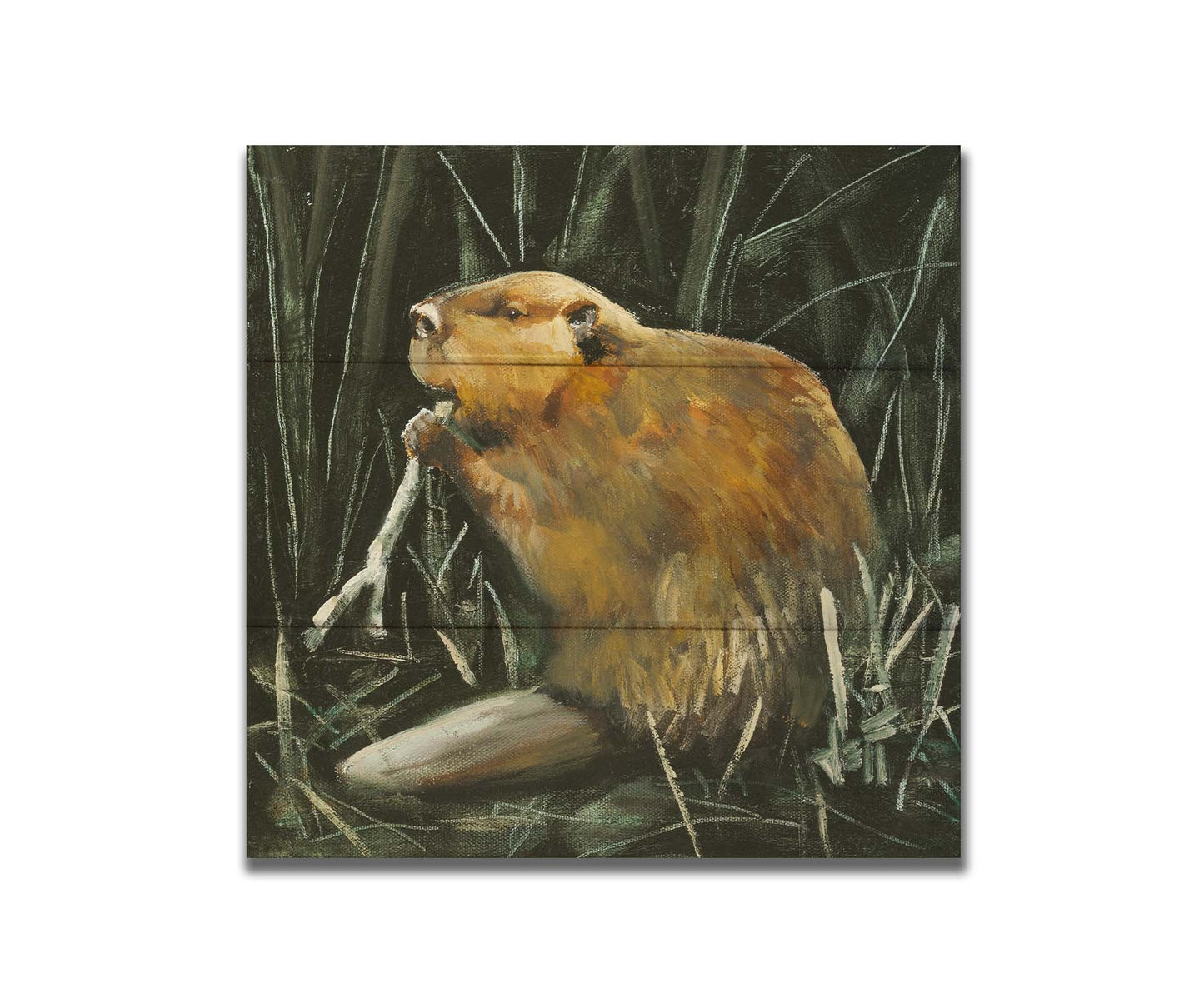 A portrait painting of a beaver chewing on a stick against a dark thicket. Printed on a box board.