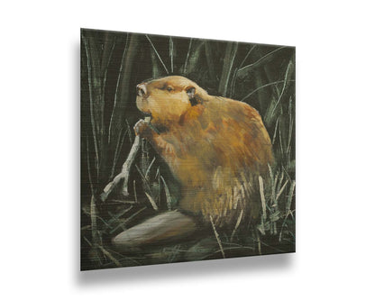 A portrait painting of a beaver chewing on a stick against a dark thicket. Printed on metal.