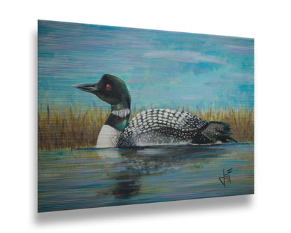 A painting of a loon swimming on the water, reflected on the surface. Printed on metal.