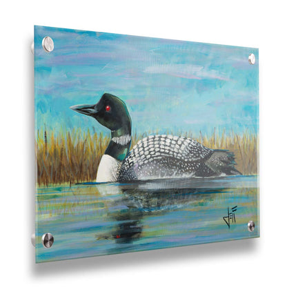 A painting of a loon swimming on the water, reflected on the surface. Printed on acrylic.