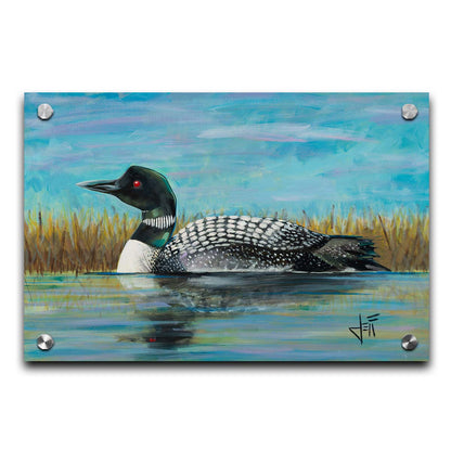 A painting of a loon swimming on the water, reflected on the surface. Printed on acrylic.