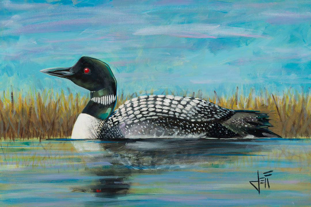 A painting of a loon swimming on the water, reflected on the surface.
