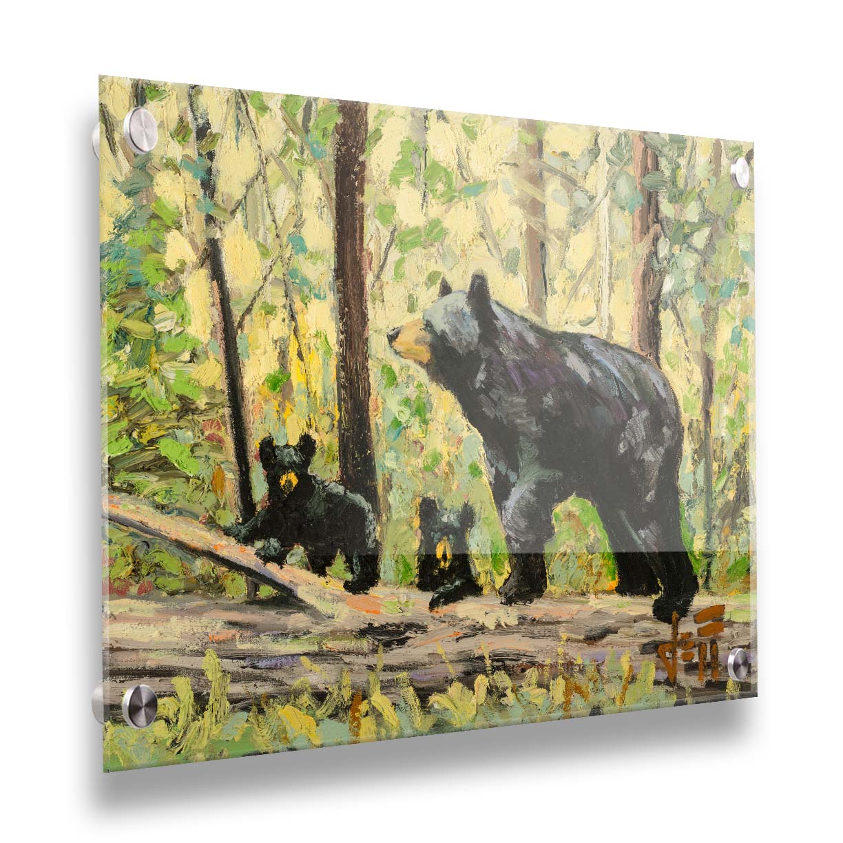 A painting of a family of three bears, walking through the forest over a log. Printed on acrylic.