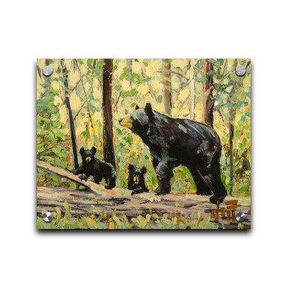 A painting of a family of three bears, walking through the forest over a log. Printed on acrylic.