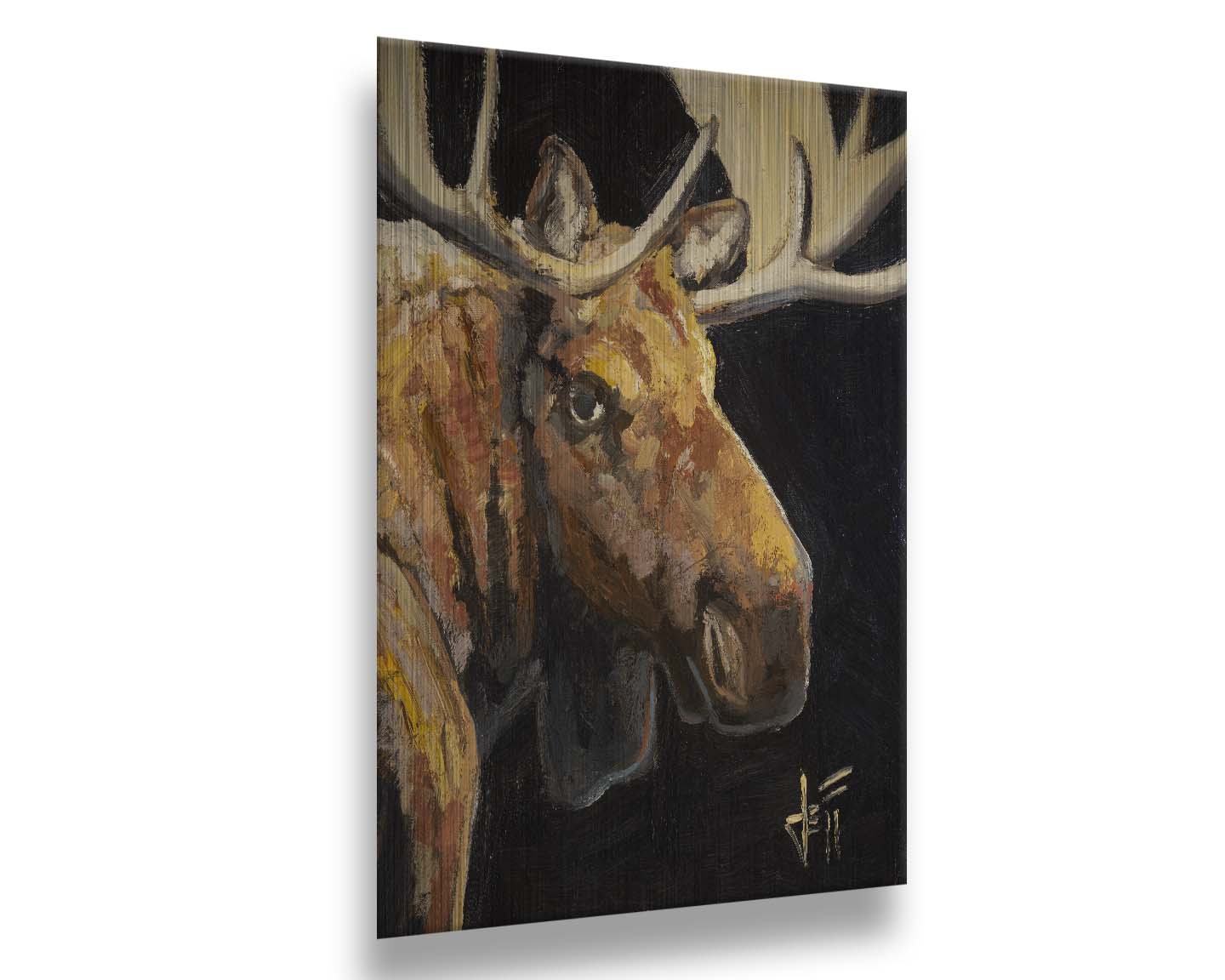 A closeup portrait painting of the face of a brown moose, in high contrast against a black background. Printed on metal.