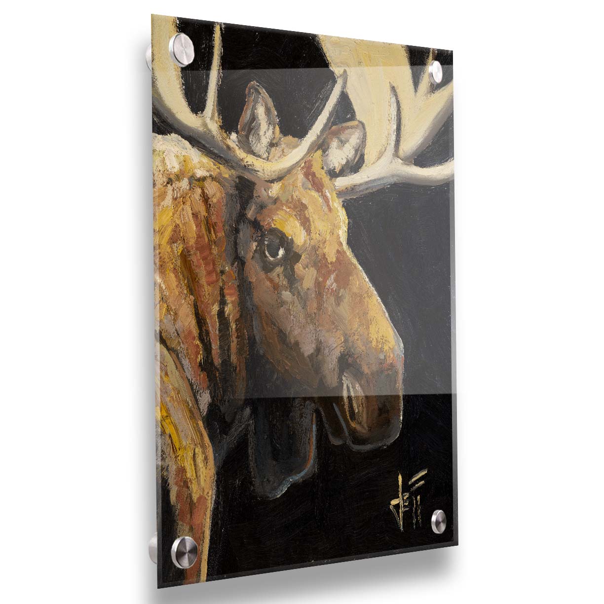 A closeup portrait painting of the face of a brown moose, in high contrast against a black background. Printed on acrylic.