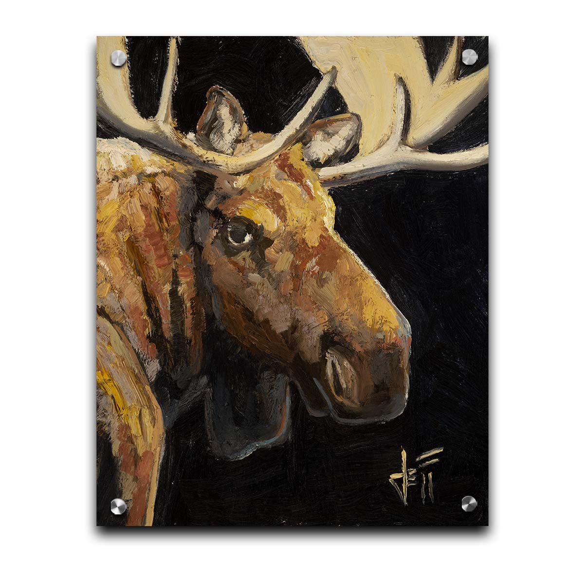 A closeup portrait painting of the face of a brown moose, in high contrast against a black background. Printed on acrylic.