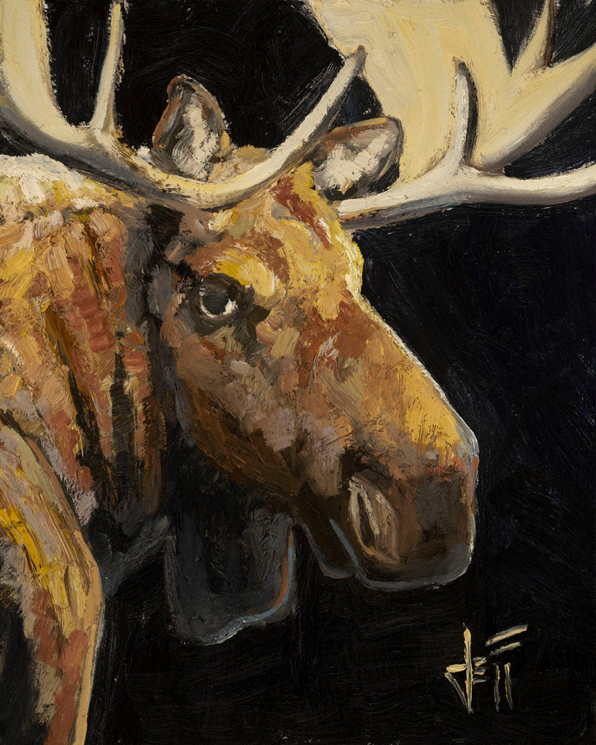 A closeup portrait painting of the face of a brown moose, in high contrast against a black background.