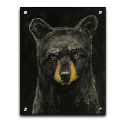 A portrait painting of a black bear against a black background. Printed on acrylic.