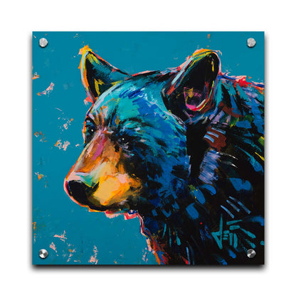 A painting of a black bear against a blue background. Printed on acrylic.