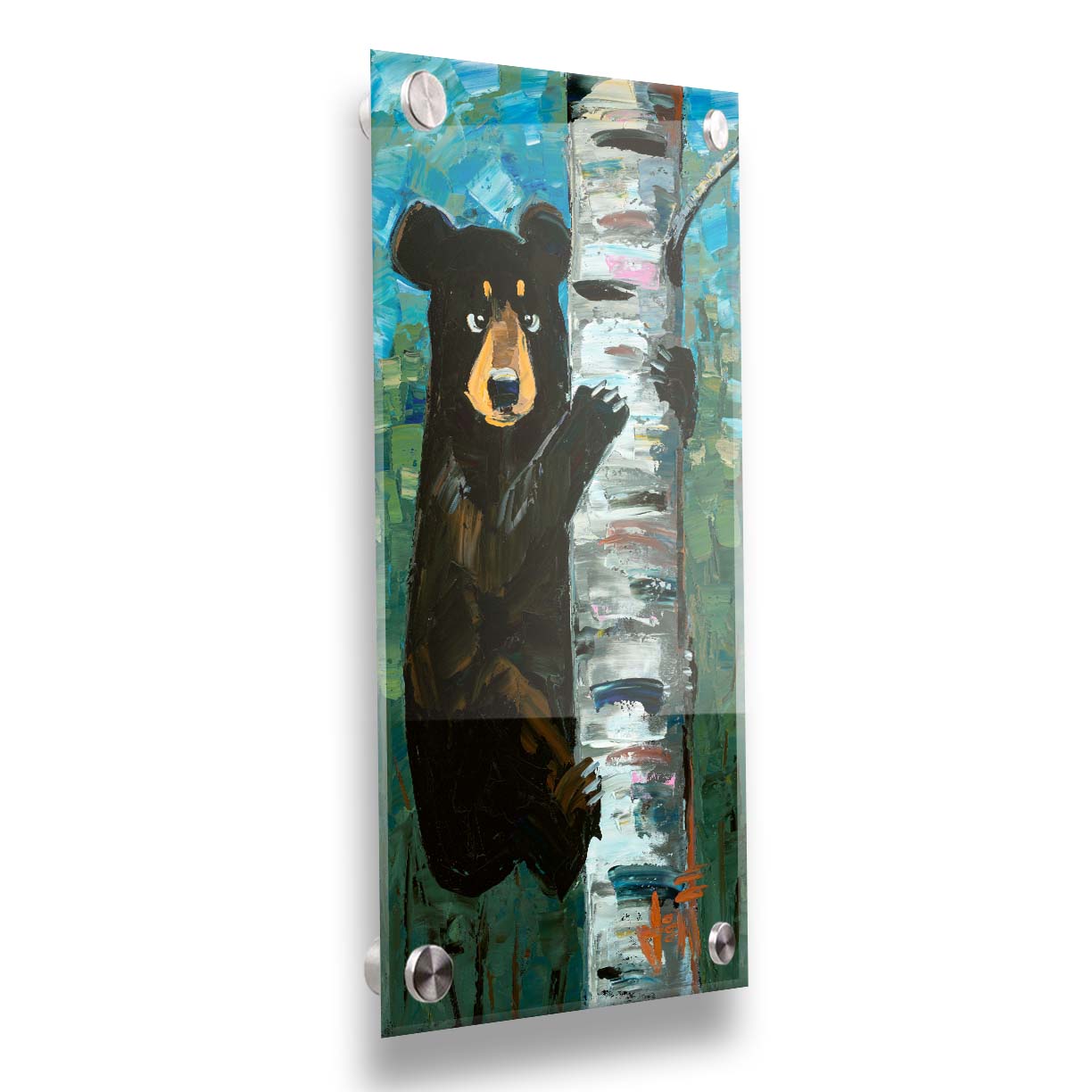 A painting of a simplified black bear, climbing a birch tree trunk. The simplification of form is contrasted by the thick paint textures created with heavy, visible brushstrokes and use of broken color. Printed on acrylic.