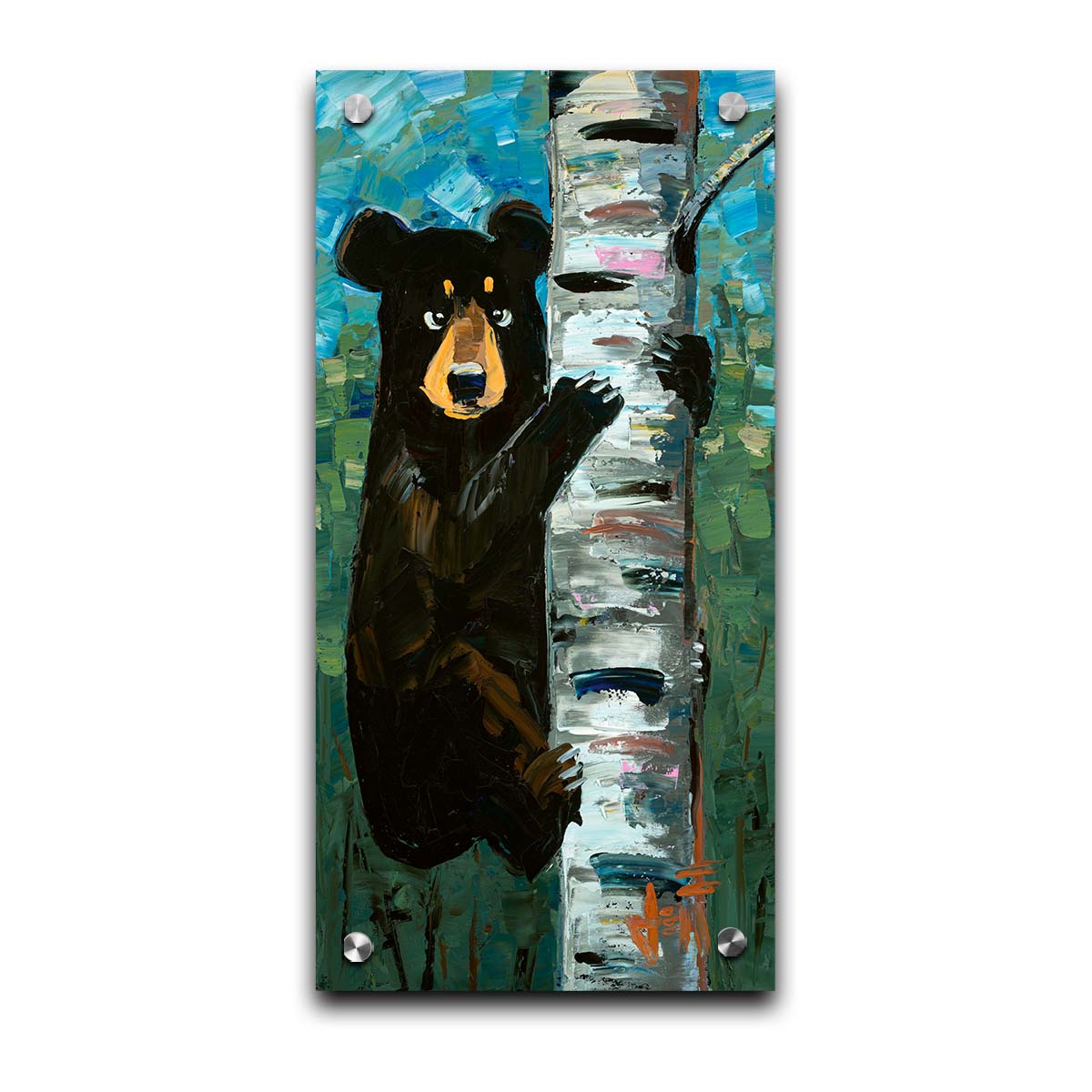 A painting of a simplified black bear, climbing a birch tree trunk. The simplification of form is contrasted by the thick paint textures created with heavy, visible brushstrokes and use of broken color. Printed on acrylic.