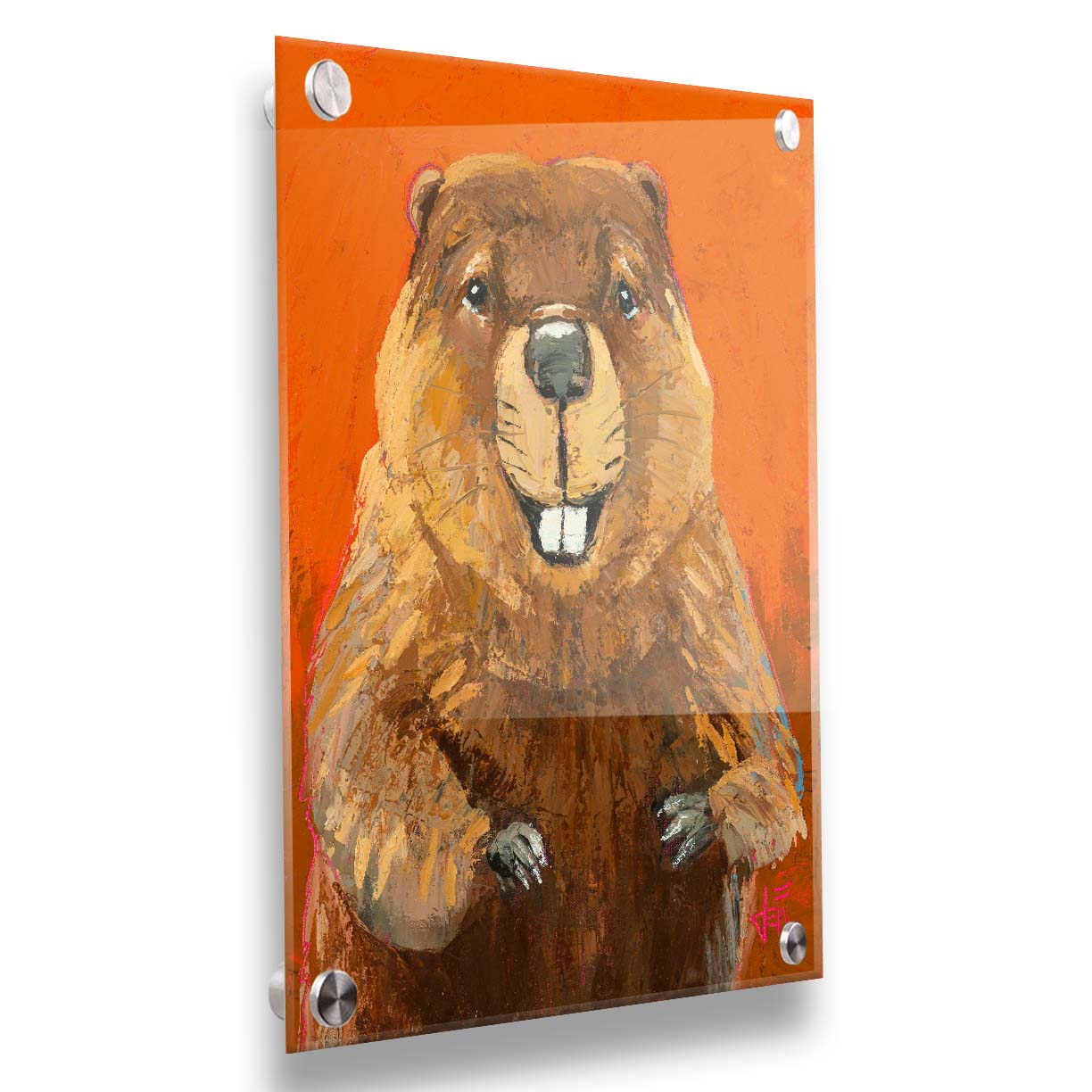 A portrait painting of a beaver against a bright orange background. It is painted utilizing techniques such as broken color, adding exta depth and texture to the piece. Printed on acrylic.