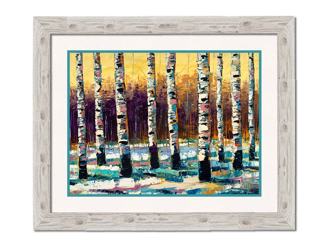 A painting of a birch forest in the winter. The ground is coated in white snow, matching the white bark of the trees, which cast blue shadows onto the snow. Printed on paper, matted, and framed.