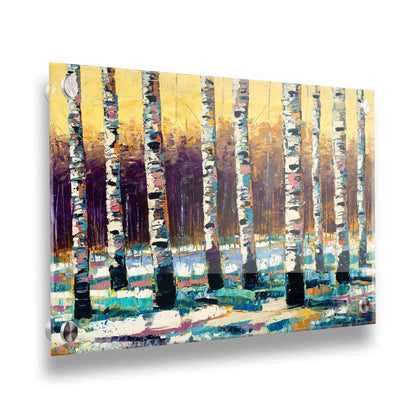 A painting of a birch forest in the winter. The ground is coated in white snow, matching the white bark of the trees, which cast blue shadows onto the snow. Printed on acrylic.