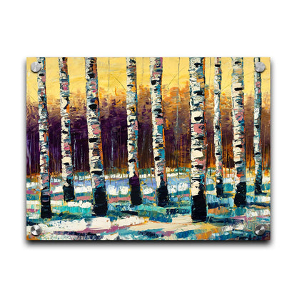 A painting of a birch forest in the winter. The ground is coated in white snow, matching the white bark of the trees, which cast blue shadows onto the snow. Printed on acrylic.