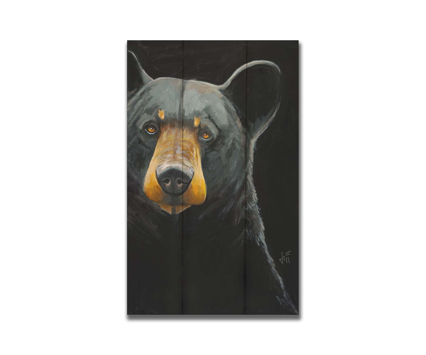 A painting of a black bear against a dark background, created with high attention to the details of the subject. Printed on a box board.