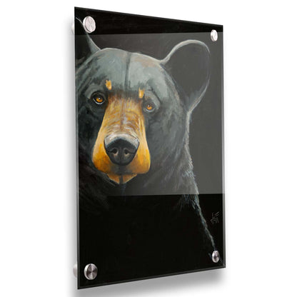 A painting of a black bear against a dark background, created with high attention to the details of the subject. Printed on acrylic.