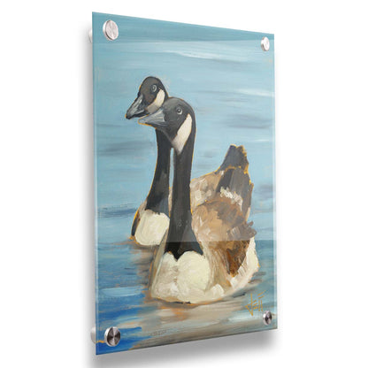 A painting of two Canadian geese swimming across smooth blue water. Printed on acrylic.