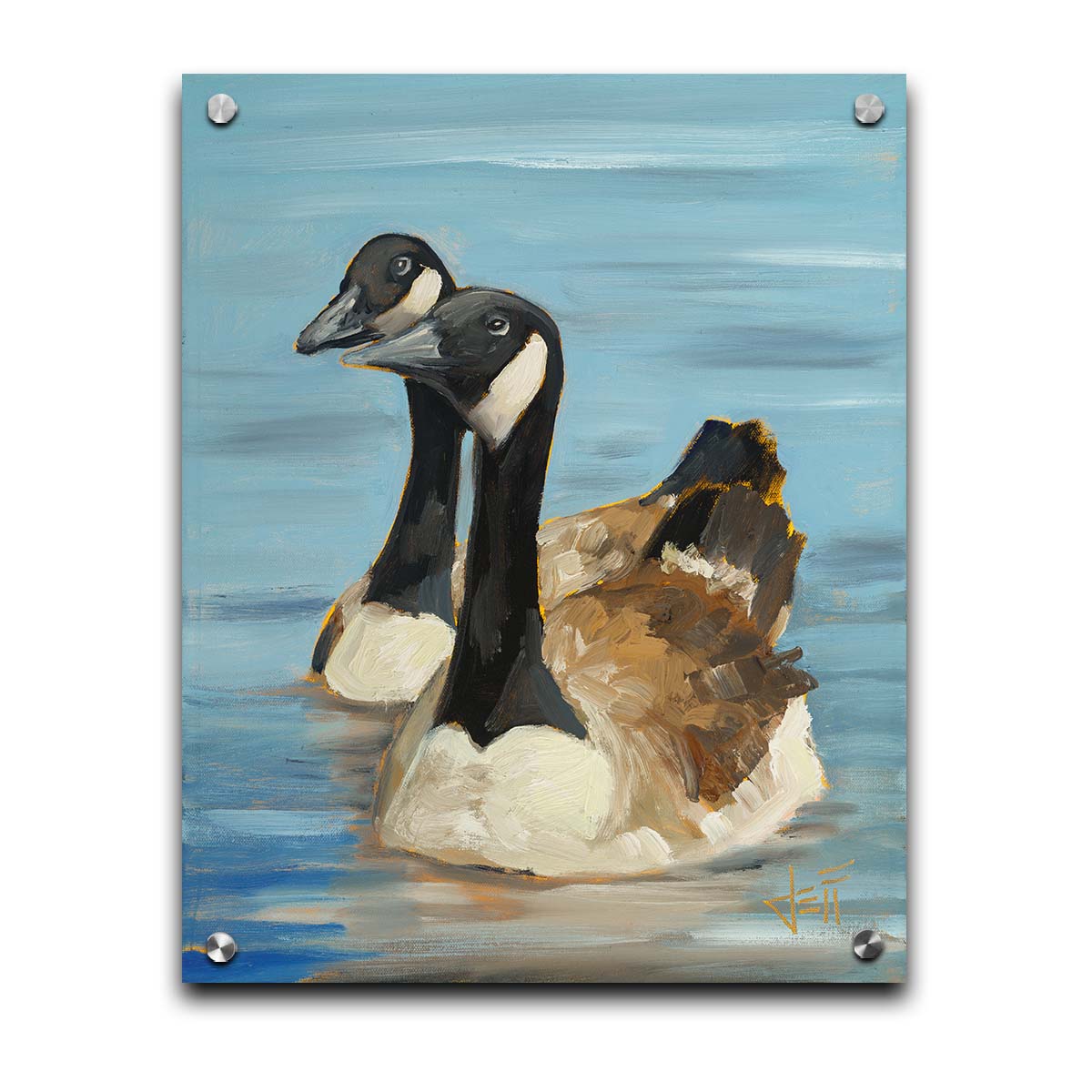 A painting of two Canadian geese swimming across smooth blue water. Printed on acrylic.