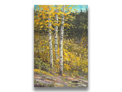 A painting of aspen trees in autumn, with bright yellow leaves. The yellow foliage in the foreground stands out against the darker evergreens in the background. Visible brushstrokes create texture and depth to the painting, lending to the textures of the bark. Printed on canvas.