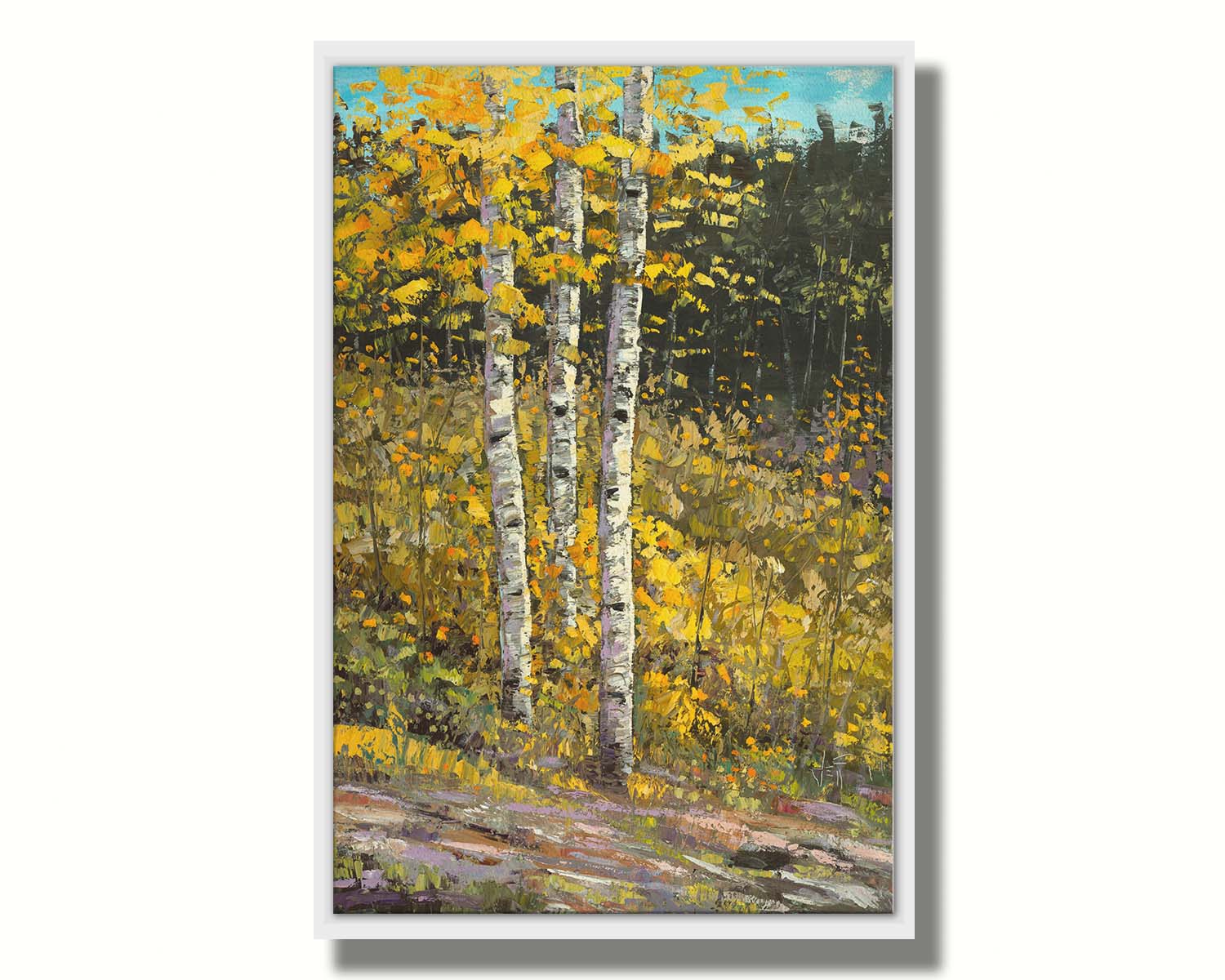 A painting of aspen trees in autumn, with bright yellow leaves. The yellow foliage in the foreground stands out against the darker evergreens in the background. Visible brushstrokes create texture and depth to the painting, lending to the textures of the bark. Printed on canvas in a float frame.