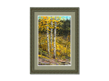 A painting of aspen trees in autumn, with bright yellow leaves. The yellow foliage in the foreground stands out against the darker evergreens in the background. Visible brushstrokes create texture and depth to the painting, lending to the textures of the bark. Printed on paper, matted, and framed.