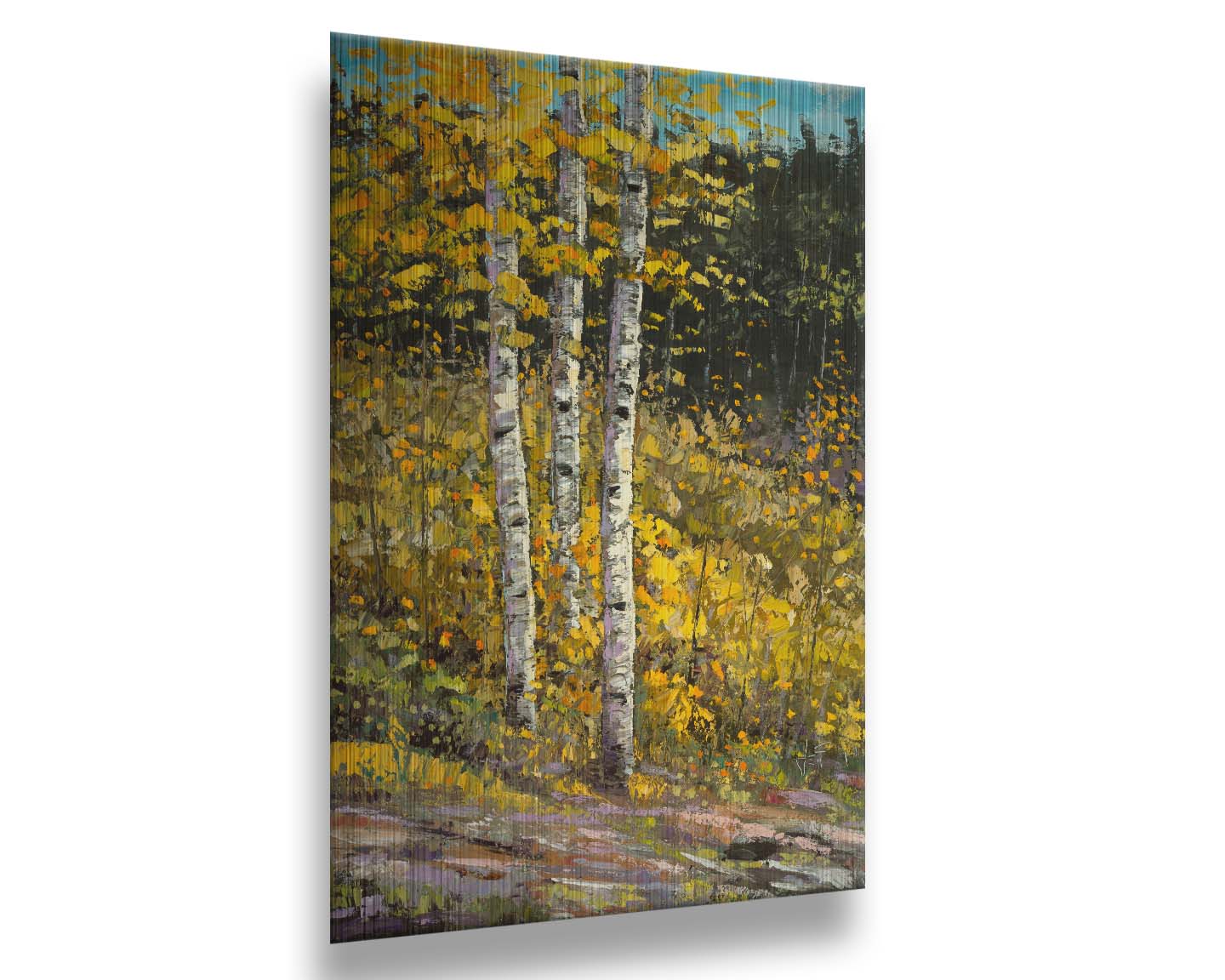 A painting of aspen trees in autumn, with bright yellow leaves. The yellow foliage in the foreground stands out against the darker evergreens in the background. Visible brushstrokes create texture and depth to the painting, lending to the textures of the bark. Printed on metal.