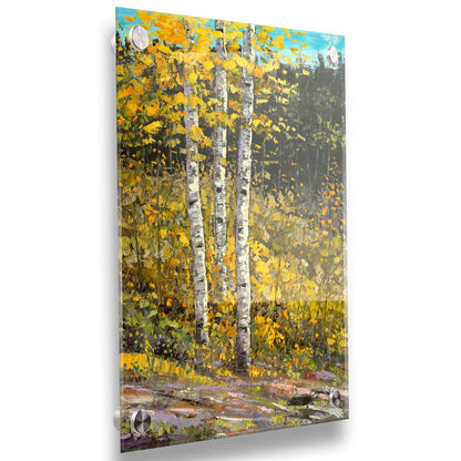 A painting of aspen trees in autumn, with bright yellow leaves. The yellow foliage in the foreground stands out against the darker evergreens in the background. Visible brushstrokes create texture and depth to the painting, lending to the textures of the bark. Printed on acrylic.