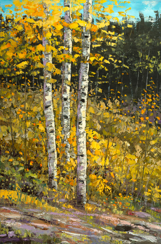 A painting of aspen trees in autumn, with bright yellow leaves. The yellow foliage in the foreground stands out against the darker evergreens in the background. Visible brushstrokes create texture and depth to the painting, lending to the textures of the bark.
