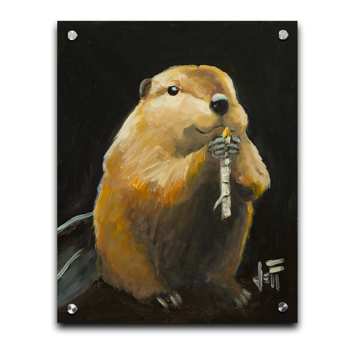 A painting of a round, soft, brown beaver snacking on a white birch stick, set against a black background. Printed on acrylic.