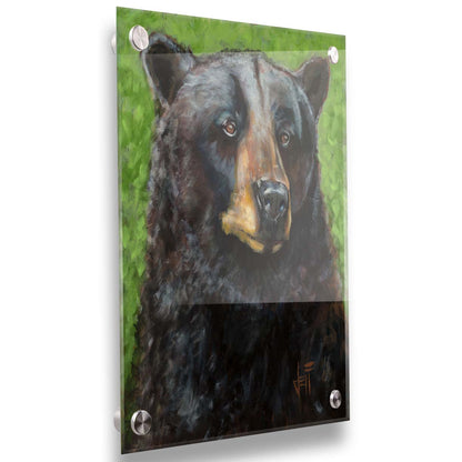 A portrait painting of a black bear against a green background. The texture and depth of the bear's fur is expertly depicted using variations in shade, tone, and texture. Printed on acrylic.