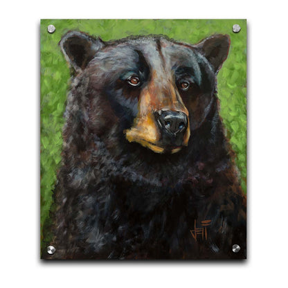 A portrait painting of a black bear against a green background. The texture and depth of the bear's fur is expertly depicted using variations in shade, tone, and texture. Printed on acrylic.