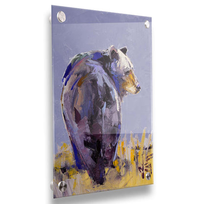 A painting of a black bear, painted in a gentle purple palette, standing in a grassy yellow field. Printed on acrylic.