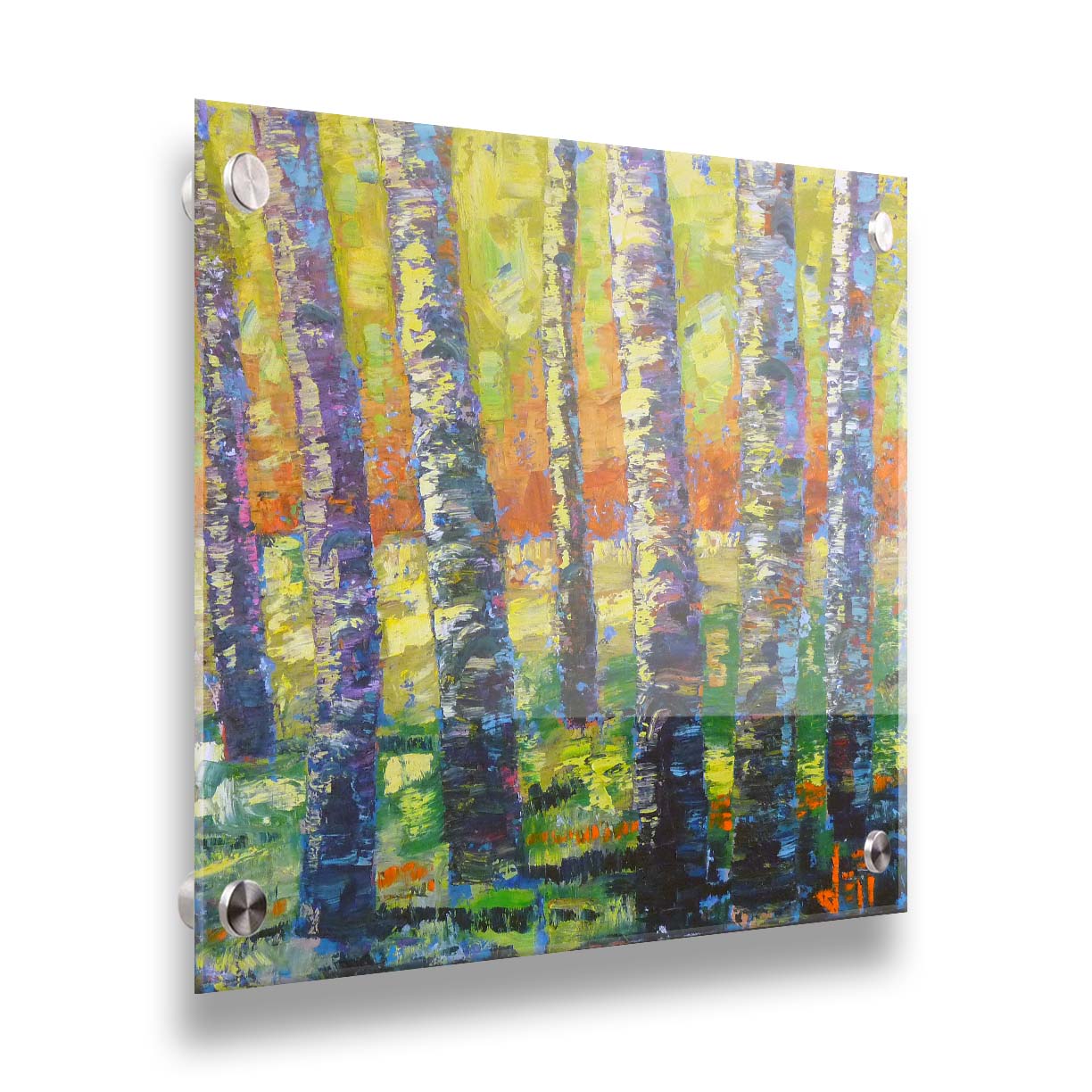 A painting of a birch forest in a spectrum whimsical colors. Broken color and visible brushstrokes create texture and movement. Printed on acrylic.