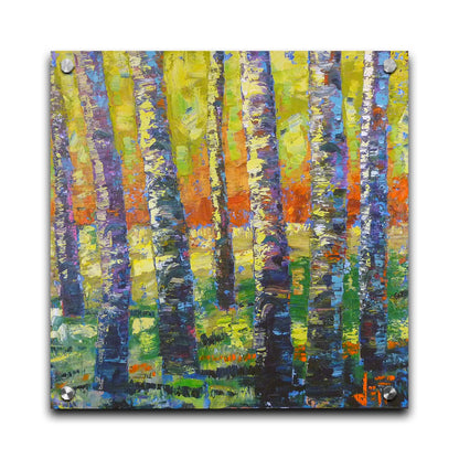 A painting of a birch forest in a spectrum whimsical colors. Broken color and visible brushstrokes create texture and movement. Printed on acrylic.