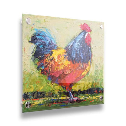 A painting of an orange and blue rooster in a green landscape. Printed on acrylic.