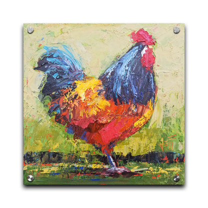 A painting of an orange and blue rooster in a green landscape. Printed on acrylic.