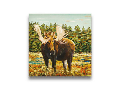 A painting of a moose standing in a bright yellow and orange field, dotted with blue puddles. An evergreen forest borders this Gunflint Trail field in Minnesota. Printed on canvas.