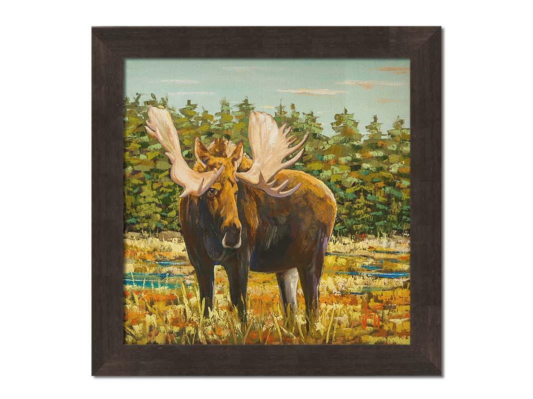 A painting of a moose standing in a bright yellow and orange field, dotted with blue puddles. An evergreen forest borders this Gunflint Trail field in Minnesota. Printed on canvas and framed.